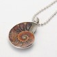 2017 Hot New Natural Healing Ammonite  Madagascar Gem Stone Pendant Necklace For Women And Men Conch Chrysanthemum Jewelry