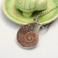 2017 Hot New Natural Healing Ammonite  Madagascar Gem Stone Pendant Necklace For Women And Men Conch Chrysanthemum Jewelry32470090160