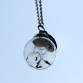 Glass bottle necklace Natural dandelion seed in glass long necklace Make A Wish Glass Bead Orb silver plated Necklace  jewelry32513154378